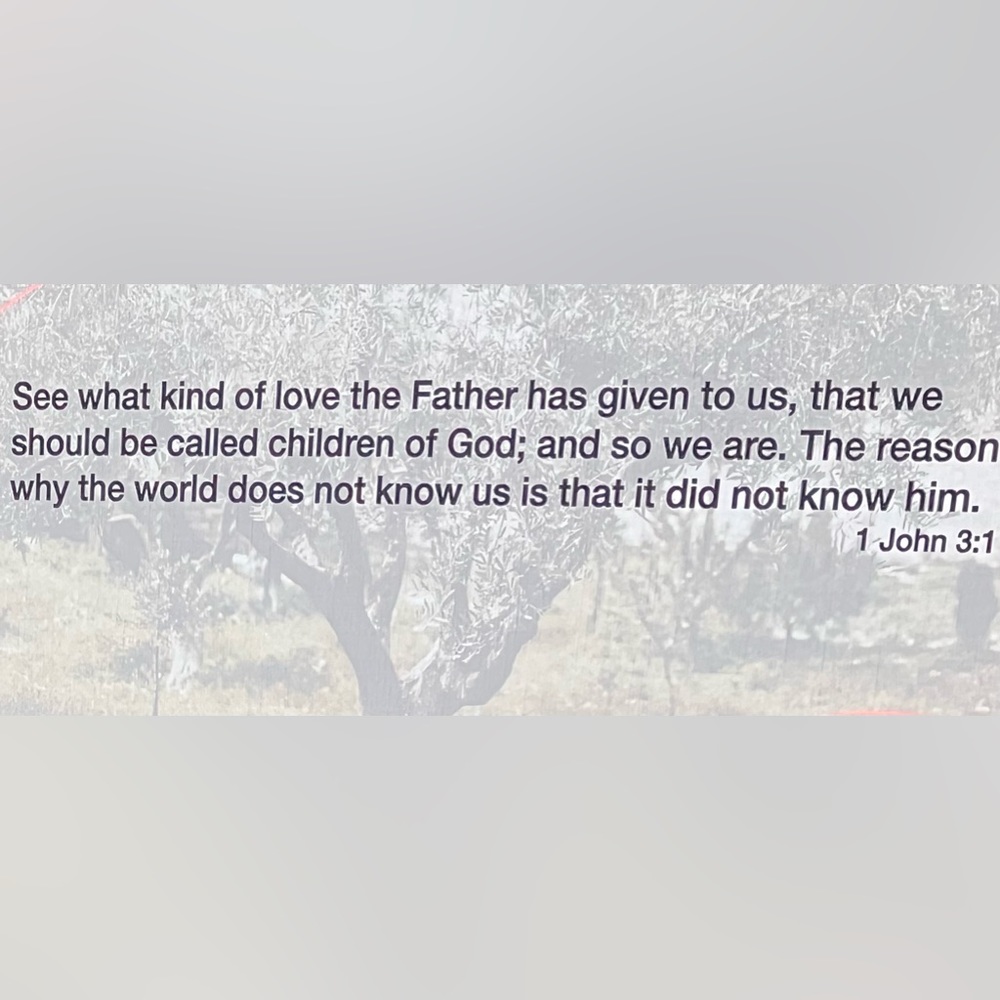 I'm LIVE!! Unlisted Items and LV Damier GIVE AWAY  *PLEASE LIKE and SHARE - Picture 5 of 16